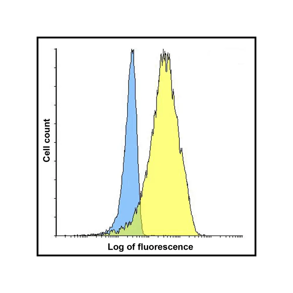 ProSci RF16064 LIGHT Antibody [8D4], ProSci, 0.1 mg/Unit Senary Image