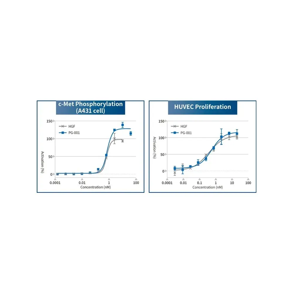 PeptiGrowth PG-001 HGF Alternative Peptide, c-Met Agonist, 2