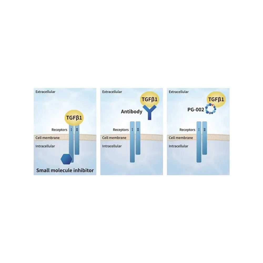 PeptiGrowth PG-002 TGF-beta 1 Inhibitor Peptide, TGF-beta 1 Binding Peptide, 10
