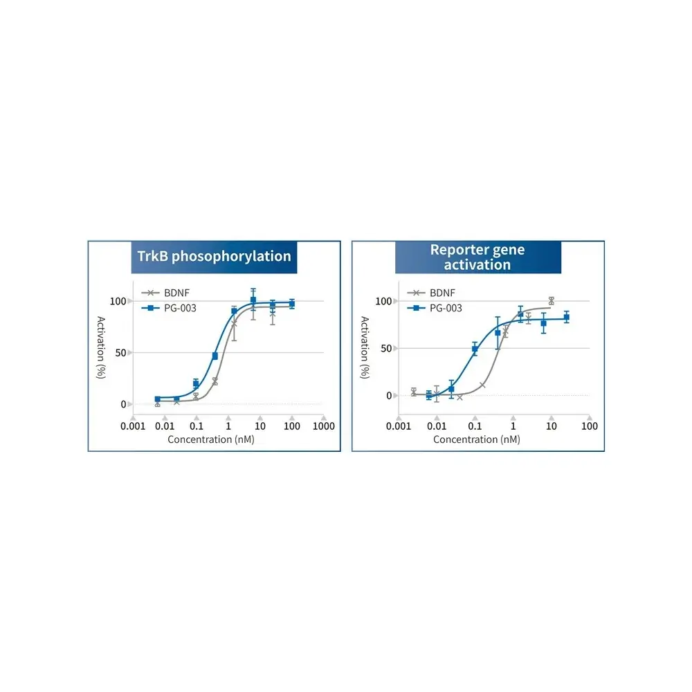 PeptiGrowth PG-003 BDNF Alternative Peptide, TrkB Agonist, 10