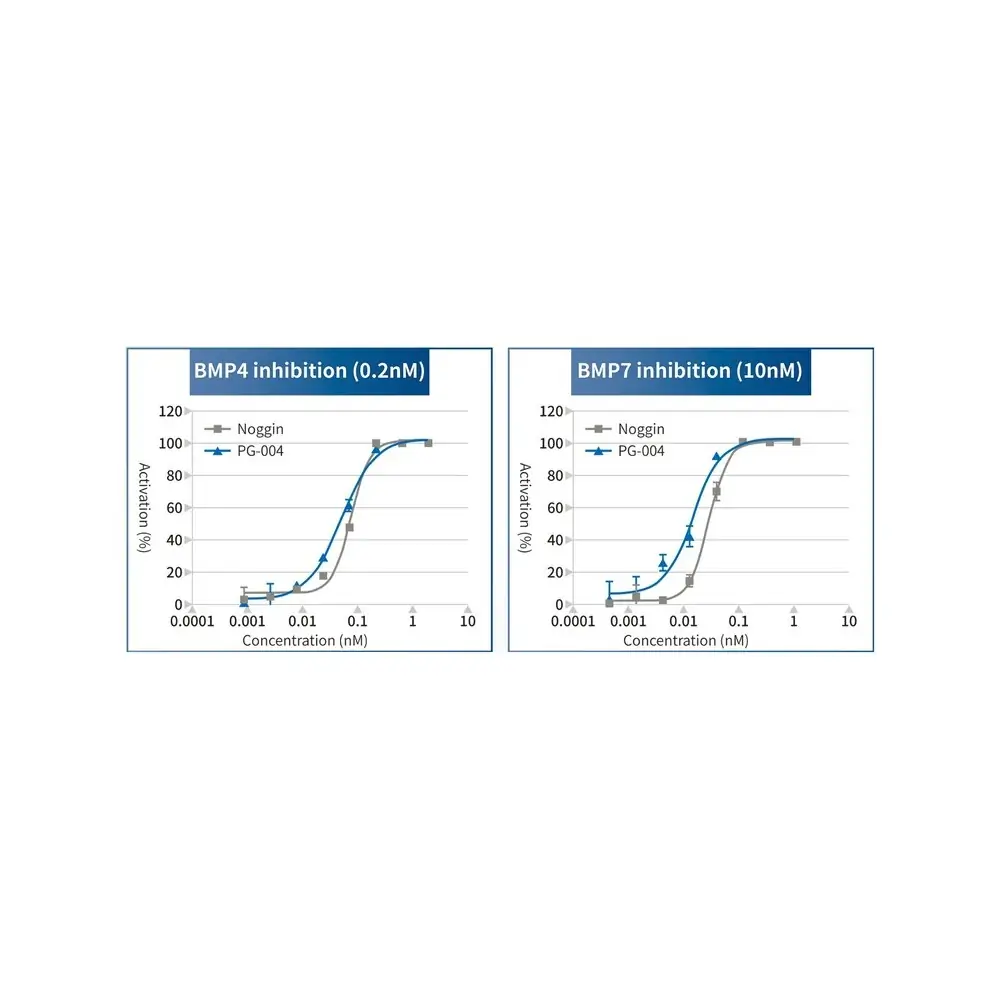 PeptiGrowth PG-004 Noggin-Like Peptide, BMP4, 7 Inhibitor, 5 