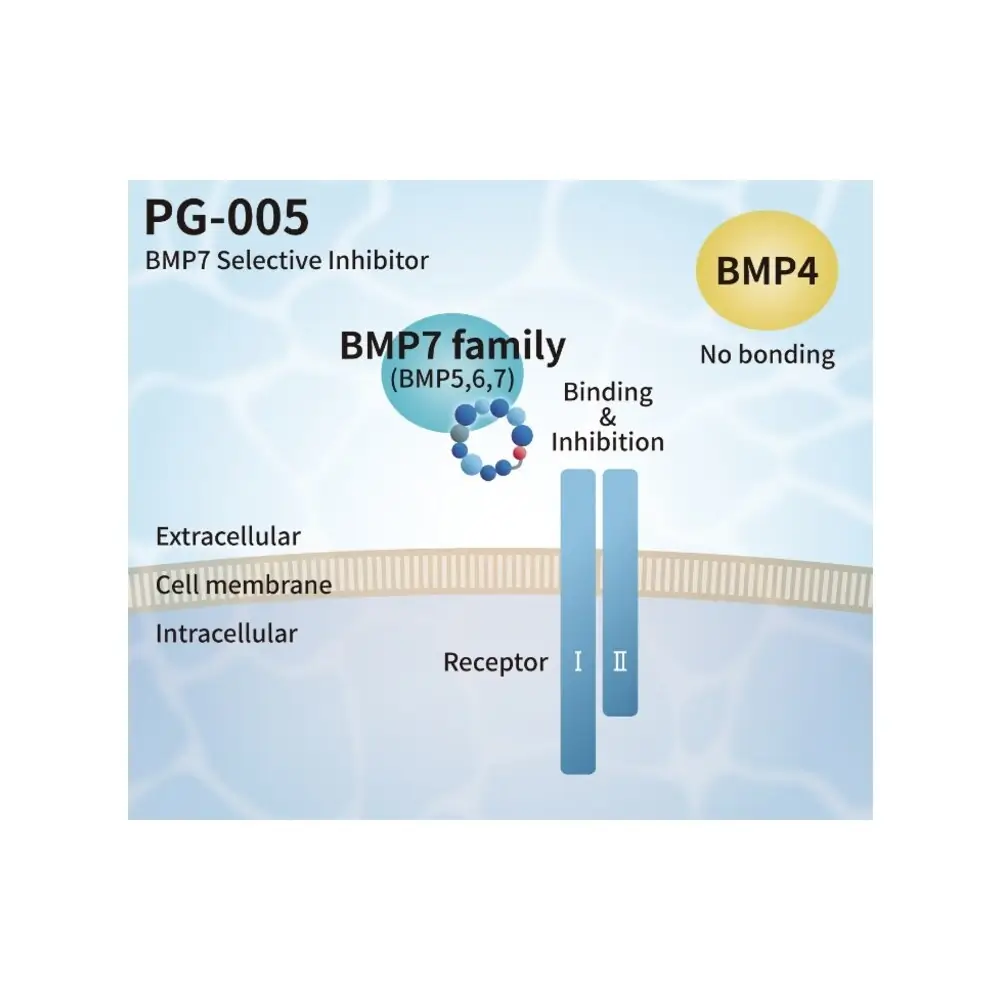 PeptiGrowth PG-005 BMP7 Selective Inhibitor, BMP7 Binding Peptide, 5