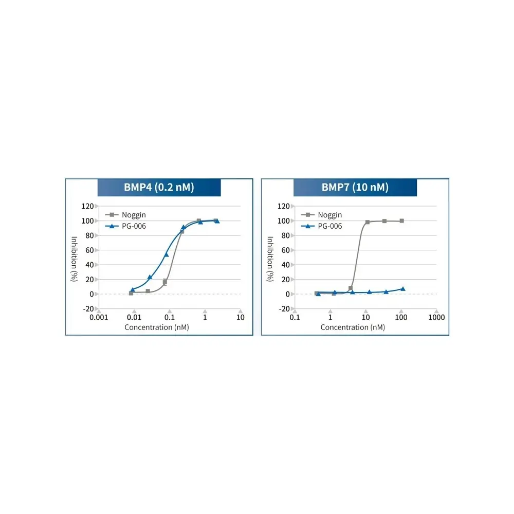 PeptiGrowth PG-006 BMP4 Selective Inhibitor, BMP4 Binding Peptide, 5