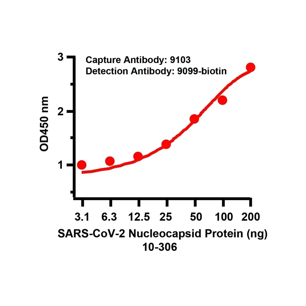 ProSci 9103_S SARS-CoV-2 (COVID-19) Nucleocapsid Antibody, ProSci, 0.02 mg/Unit Quaternary Image