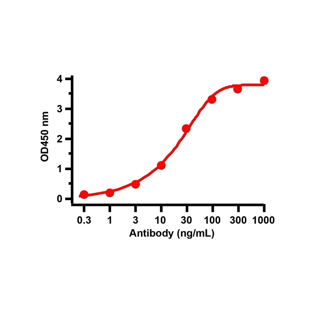 ProSci 9103_S SARS-CoV-2 (COVID-19) Nucleocapsid Antibody, ProSci, 0.02 mg/Unit Tertiary Image