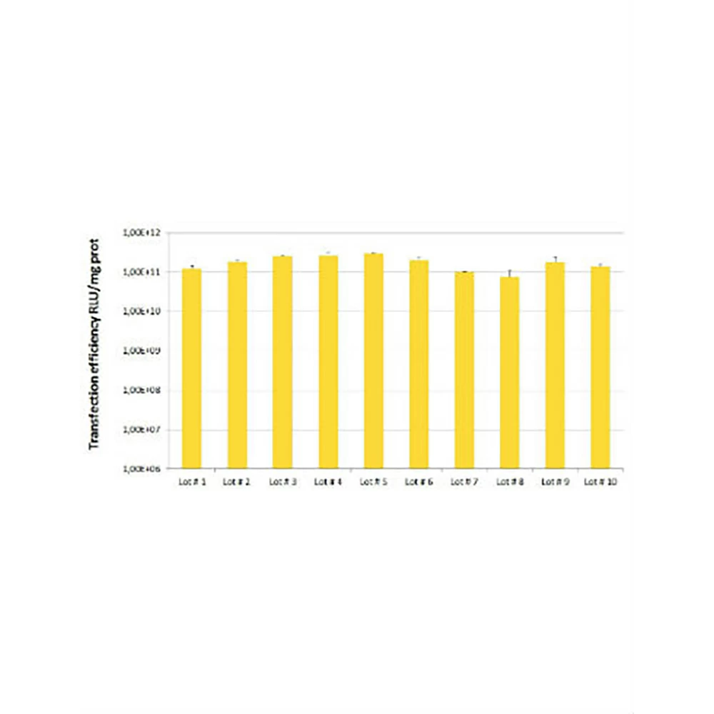 Polyplus-transfection 101000053 jetPEI HTS DNA Transfection Reagent, with 150 mM NaCl Solution, 1 ml/unit tertiary image