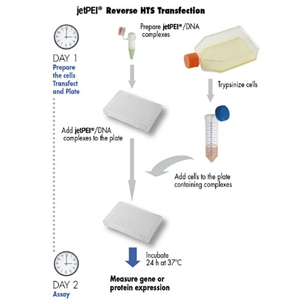 Polyplus-transfection 101000053 jetPEI HTS DNA Transfection Reagent, with 150 mM NaCl Solution, 1 ml/unit secondary image